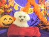 dscn4216