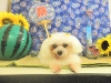 dscn4318