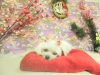 dscn4956