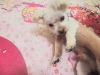 dscn5568