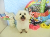 dscn5784