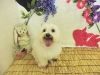 dscn6084