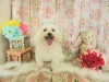 dscn6661