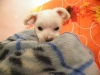 dscn7197