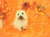 dscn7543