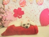 dscn8910