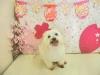 dscn8912
