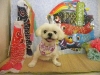 dscn9243