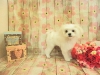 dscn9458