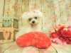 dscn9569