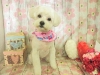 dscn9717
