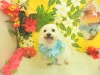 dscn9918