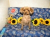 4bd540307bcf8dd3cd7c7ce768af62fd