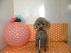 c866d235c621f405faa0324be5cb6bd0