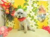 dscn0007