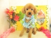 dscn0008