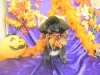 dscn0015