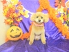 dscn4202