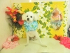 dscn4237