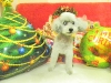 dscn4596