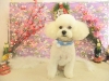 dscn5028