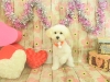 dscn5047_0