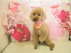 dscn5521