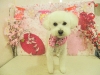 dscn5528