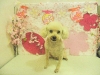 dscn5543