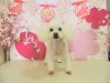 dscn5555