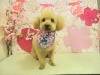 dscn5558