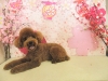 dscn5559