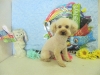 dscn5796