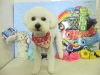 dscn5952_0