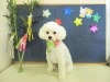 dscn6195