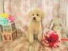dscn6850_0