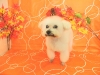 dscn7546