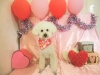 dscn8365
