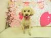 dscn8716