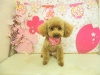 dscn8801