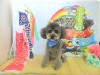 dscn9217