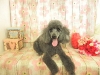 dscn9506