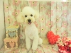 dscn9554