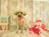 dscn9556