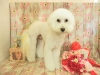 dscn9634_0
