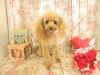 dscn9643