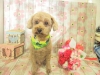dscn9663_0