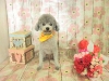 dscn9665_0