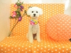 dscn9688