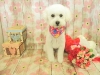 dscn9747